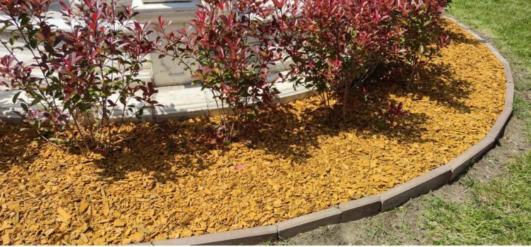 mulching in yellow